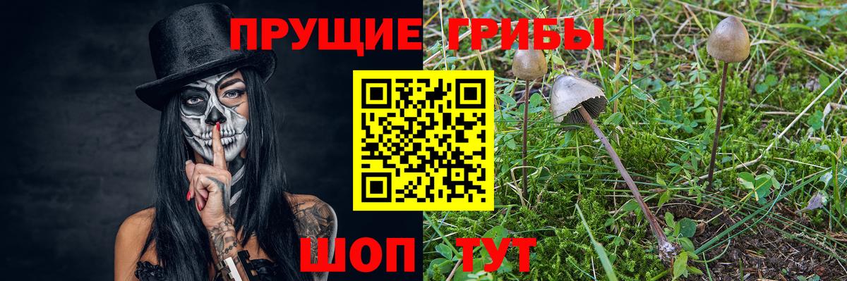 Галлюциногенные грибы GOLDEN TEACHER Прокопьевск