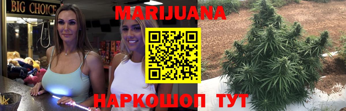 Бошки Шишки Amnesia Прокопьевск